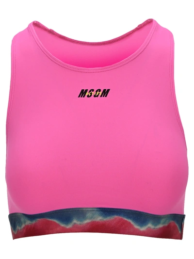 Msgm Printed Waistband Logo Sports Bra In Pink