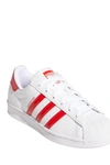 Adidas Originals Superstar Sneaker In Ftwwht/sca