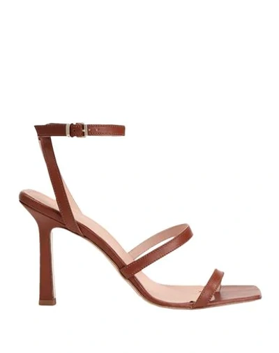 8 By Yoox Toe Strap Sandals In Brown