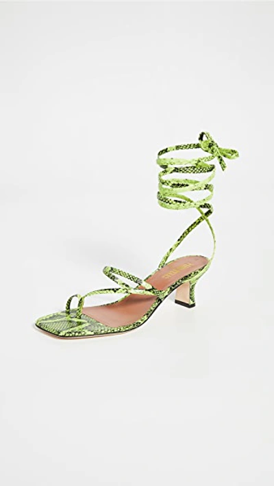 Paris Texas Betty 55 Snake Effect Leather Sandals In Yellow