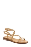 Ash Studded Laced Flat Shoes With Chic Design And Comfortable Fit In Brown