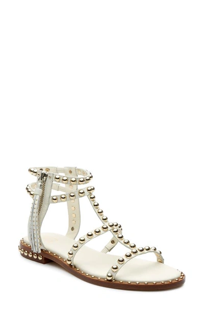 Ash Power Stud Flat Gladiator Sandals In White