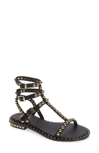 Ash Play Studded Leather Gladiator Sandals In Black
