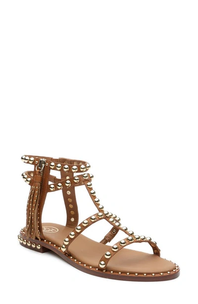 Ash Precious Studded Sandals In Brown