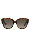 Dior Wil 54mm Round Sunglasses In Havana/grey