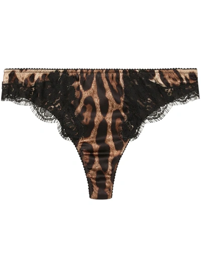 Dolce & Gabbana Leopard-print Satin Thong With Lace Detailing In Brown