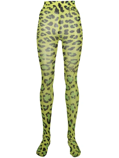 Philipp Plein Leopard Print Tights In Green