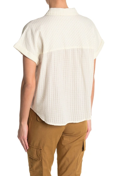Sanctuary Summer Short Sleeve Tie Front Shirt In White
