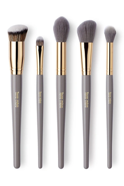 Terre Mere Perfect Complexion 5-piece Brush Set