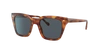 Vogue Eyewear Man Sunglass Vo5380s In Dark Grey