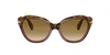 Persol Po0582s In Brown Gradient