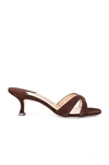 MANOLO BLAHNIK CALLAMU 50 SUEDE MULE,MNIF-WZ191