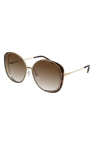 Chloé 63mm Gradient Oversize Round Sunglasses In Gold/ Brown Gradient