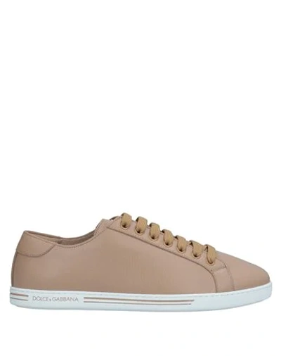 Dolce & Gabbana Sneakers In Light Brown