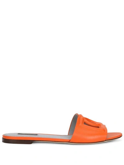 Dolce & Gabbana Logo Cutout Leather Slides In Orange