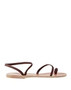 Ancient Greek Sandals Toe Strap Sandals In Dark Brown