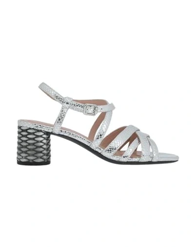 Geox Sandals In Silver