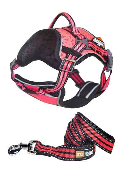Petkit Small Pink Helios Dog Chest Compression Leash & Harness Combination