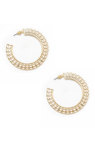 Ettika Ornate Gold Flat 50mm Hoop Earrings