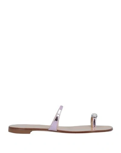 Giuseppe Zanotti Toe Strap Sandals In Pink