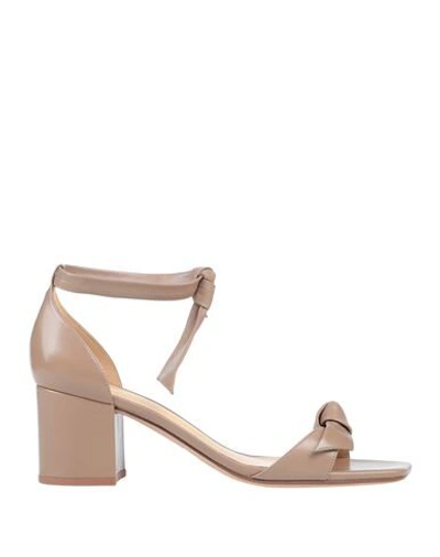 Alexandre Birman Sandals In Cameo Suede
