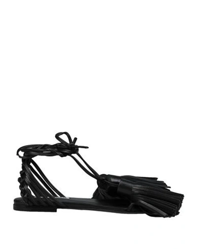 Jil Sander Sandals In Black