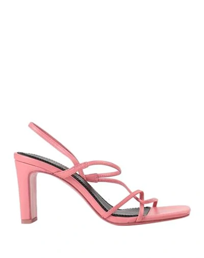 Sandro Sandals In Pink