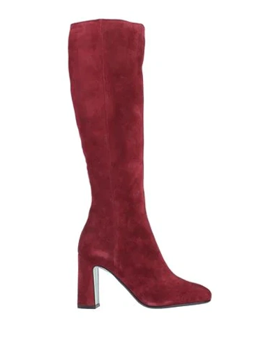 Paola D'arcano Knee Boots In Maroon