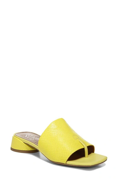 Franco Sarto Loran Slide Sandals Women's Shoes In Limeade Leather