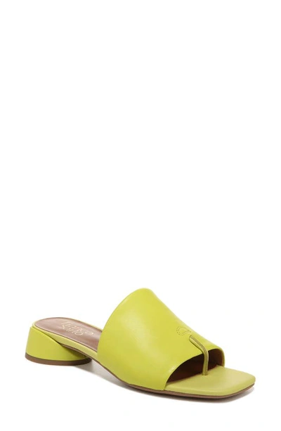 Franco Sarto Loran Slide Sandals Women's Shoes In Yellow