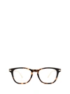 GUCCI GG0919O HAVANA GLASSES,GG0919O 003