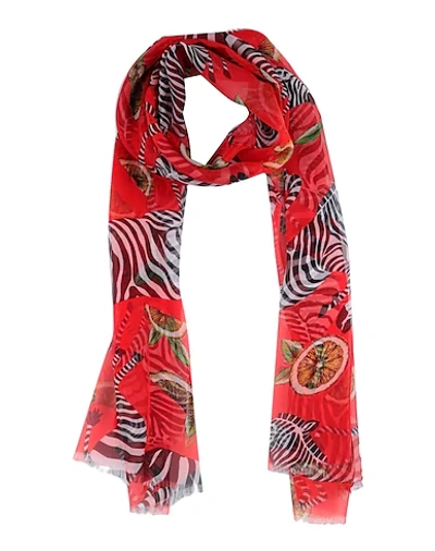 Dolce & Gabbana Scarves In Red