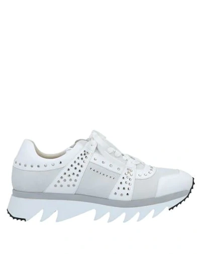 Cesare Paciotti Sneakers In White
