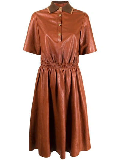 Adam Lippes Contrasting Collar Polo Dress In Brown