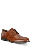Ecco Queenstown Plain Toe Derby In 01112amber