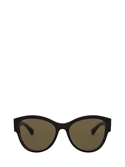 Pre-owned Chanel Pantos Sunglasses In Brown