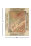 Willow Row Sonoma Sage Home Inlaid Beige & Goldtone Vervain And Sentiment Grass Large Picture Frame In Beige