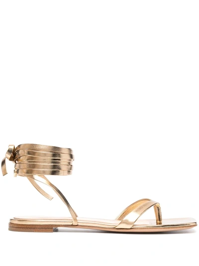 Gianvito Rossi Ribbon Metallic Leather Knee-high Gladiator Flat Sandals In Gold