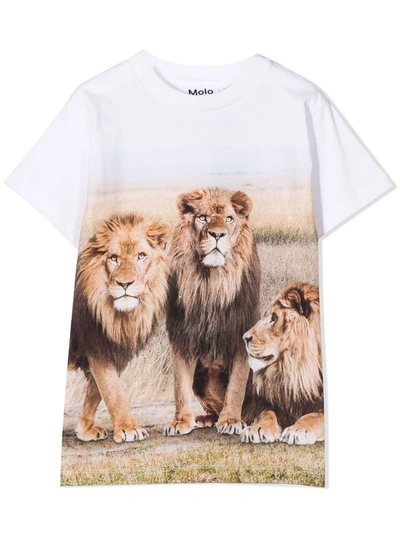 Molo Kids' Multicolor T-shirt For Boy With Lions In White