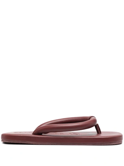 Camperlab Hastalavista Leather Flip Flops In Burgundy