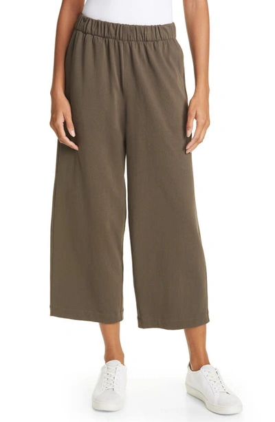 Vince Cropped Cotton Track Pants In Sea Pine