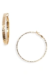 Panacea Flat Hoop Earrings In Gold