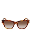 Ferragamo Women's Vara 53mm Cat Eye Sunglasses In Brown