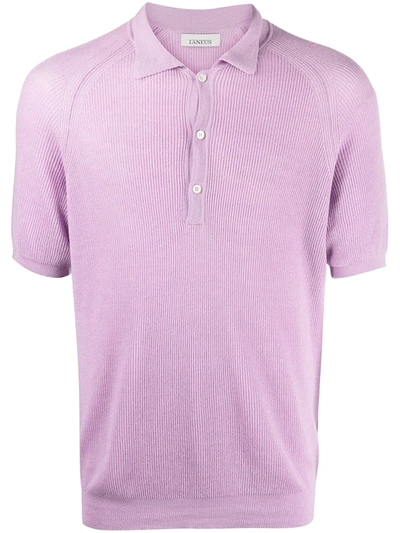 Laneus Fine-ribbed Cotton Polo Shirt In Purple
