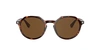 Persol Po3255s In Polarized Brown