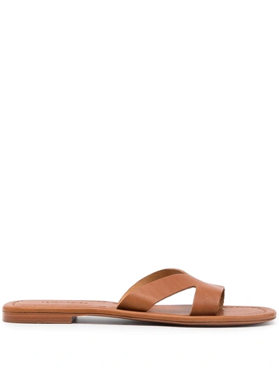Kenzo Brown Opanka Flat Sandals In Beige