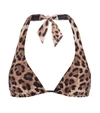 Dolce & Gabbana Leopard-print Bikini Top In Beige