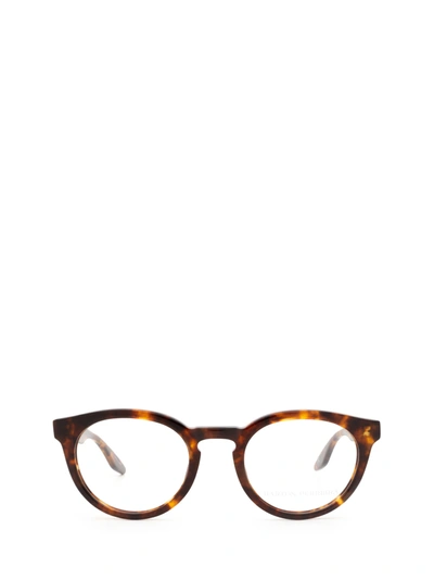 Barton Perreira Bp5199 Havana Glasses