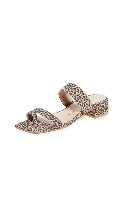 Stuart Weitzman Maisie Printed Suede Mules In Animal Print