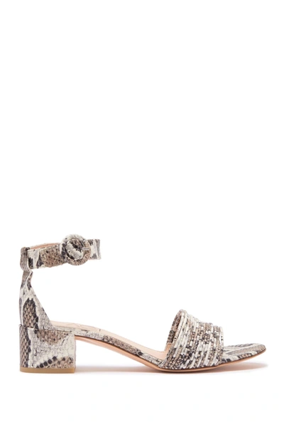 Agl Attilio Giusti Leombruni Snakeskin Embossed Leather Sandal In Light Taupe Snake